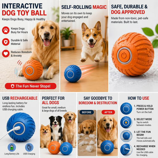 Interactive Dog Toy Ball (Keeps Dogs Busy for Hours)